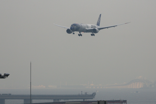 羽田空港に帰ってきたR2-D2 ANAジェット(JA873A)