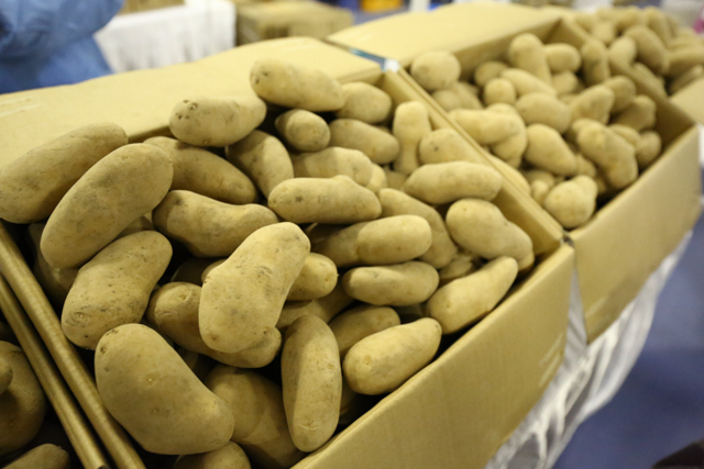 , quality ~50WebP lossy, quality ~50, https://wporep.com/wp-content/uploads/so-net/20170304-121852-ea263.jpg 北海道のジャガイモ